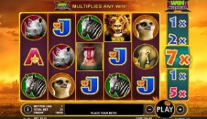 Hot Safari slot screenshot 313